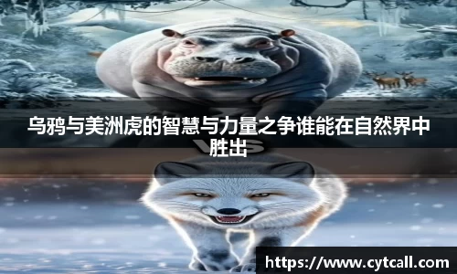 九游官方网站